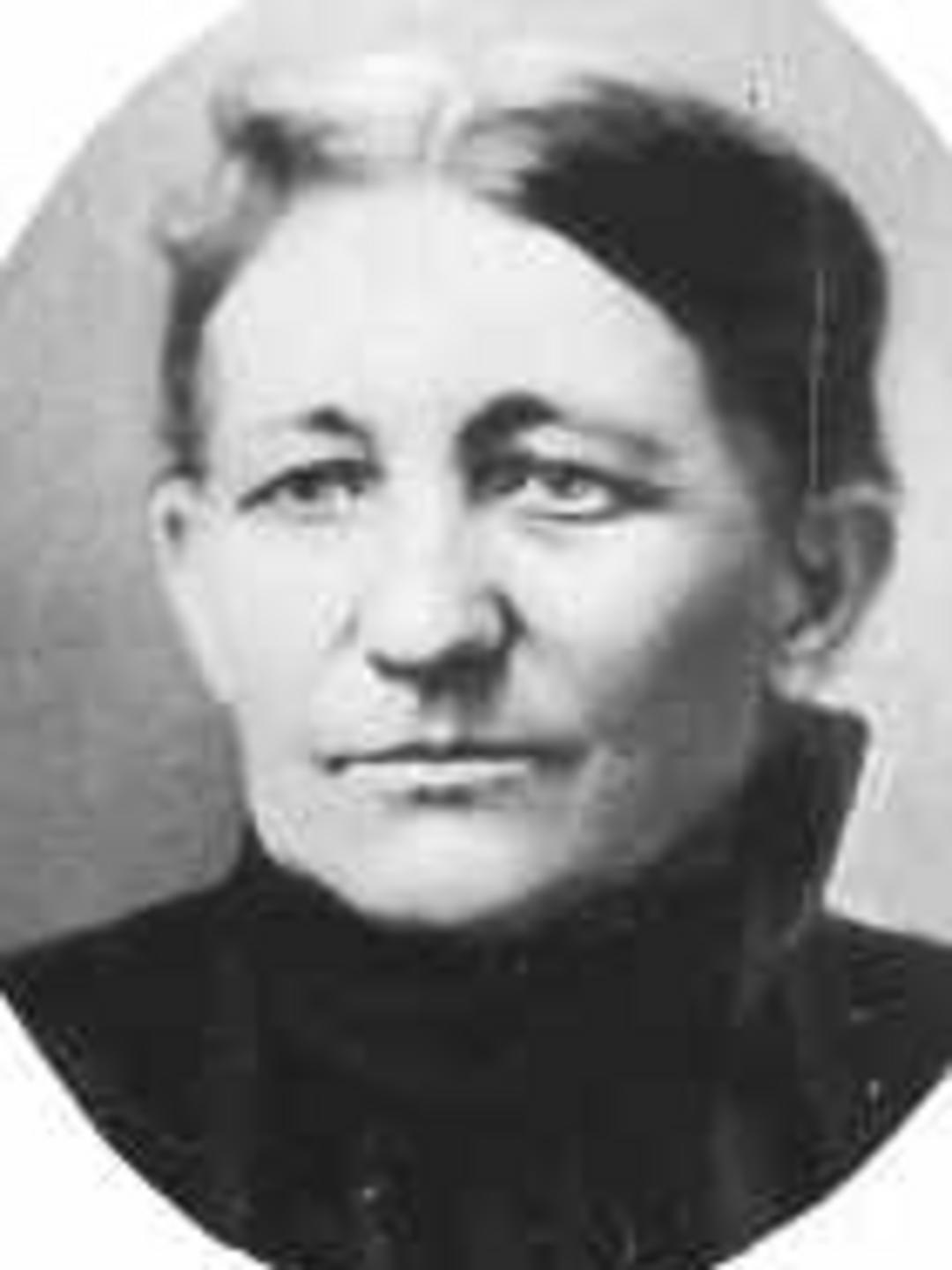 Mary Ellen Lawrence (1841 - 1919) Profile